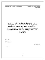 KHẢO SÁT CÁC CẤP ĐỘ CẤU THÀNH ĐƠN VỊ THỊ TRƯỜNG HÀNG HÓA TRÊN THỊ TRƯỜNG HÀ NỘI