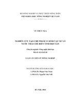 Luận án Tiến sỹ Nông nghiệp Nghiên cứu tạo chế phẩm vi sinh vật xử lý nước thải chế biến tinh bột sắn