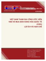 Việt Nam Tham Gia Công Ước Viên 1980 Về Mua Bán Hàng Hóa Quốc Tế (CISG) Lợi Ích Và Hạn Chế