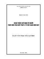Hoàn thiện chế định về người thực hiện trợ giúp pháp lý ở việt nam hiện nay 
