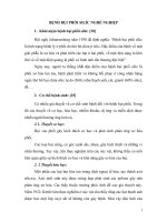 BỆNH BỤI PHỔI SILÍC NGHỀ NGHIỆP