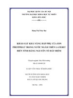 Khảo sát khả năng hấp phụ của ion photphat trong nước ngầm trên laterit biến tính bằng nguyên tố đất hiếm