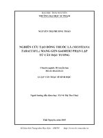 Nghiên cứu tạo dòng thuốc lá (nicotiana tabacum l ) mang gen GmDREB2 phận lập từ cây đậu tương 