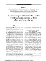 CAS comprehensive survey