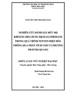 Khoá luận tốt nghiệp Nghiên cứu đánh giá mức độ khoáng hóa dung dịch Glyphosate trong quá trình Fenton điện hóa thông qua phân tích COD và phương pháp đo quang