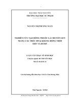 Nghiên cứu tạo dòng thuốc lá chuyển gen mang cấu trúc RNAi kháng đồng thời SMV và BYMV 