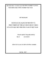 Đánh giá đa dạng di truyền và phát triển kỹ thuật chẩn đoán virus lúa lùn sọc đen Phương Nam ở Việt Nam