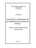 Khoá luận tốt nghiệp Ảnh hưởng của pH đến động học quá trình phân hủy DDT bằng sắt siêu mịn