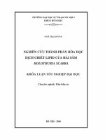 Khoá luận tốt nghiệp Nghiên cứu thành phần hóa học dịch chiết lipid của hải sâm Holothuria scabra