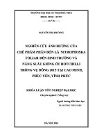 Nghiên cứu ảnh hưởng của chế phẩm phân bón lá Nitrophoska Foliar đến sinh trưởng và năng suất giống ớt Hotchilli trồng vụ đông 2015 tại Cao Minh, Phúc Yên, Vĩnh Phúc
