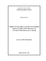 Nghiên cứu đặc điểm và chuyển gen GmDREB2 nhằm cải thiện tính chịu hạn của cây đậu tương (Glycine max (L.) Merrill) (LA tiến sĩ)