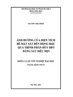 Khoá luận tốt nghiệp Ảnh hưởng của diện tích bề mặt sắt đến động học quá trình phân hủy DDT bằng sắt siêu mịn