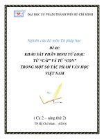 KHẢO SÁT PHÂN ĐỊNH TỪ LOẠI: TỪ “CÁI” VÀ TỪ “CON” TRONG MỘT SỐ TÁC PHẨM VĂN HỌC VIỆT NAM