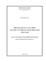 Hiệu quả quản lý tài chính tại công ty TNHH xây dựng seog woo (việt nam) 