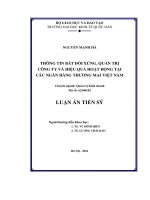 Thông tin bất đối xứng, quản trị công ty và hiệu quả hoạt dộng tại các ngân hàng thương mại Việt Nam (LA tiến sĩ)