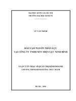 Đào tạo nguồn nhân lực tại công ty TNHH MTV điện lực ninh bình 