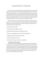 Văn hóa giao thông Việt Nam – Cái nhìn toàn cảnh