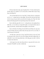 Đo đạc thành lập bản đồ địa chính tỷ lệ 1 2000 tờ số 32 trên địa bàn xã bình minh, huyện trảng bom, tỉnh đồng nai 