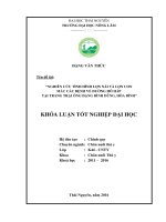 Nghiên cứu tình hình lợn nái và lợn con mắc các bệnh về đường hô hấp tại trang trại ông đặng đình dũng   hòa bình  