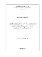 Nghiên cứu sự tích lũy của phytolith trong một số loại đất chính ở đồng bằng sông hồng 