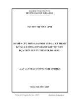 Nghiên cứu phân loại một số loài cá thuộc giống cá bỗng (spinibarbus) ở việt nam dựa trên gen ty thể (COI, 16s rRNA)