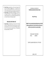 Nghiên cứu ứng dụng phương pháp phun phủ nhiệt phân quay đầu phun và hỗ trợ siêu âm chế tạo các phần tử pin mặt trời họ Cux(In,Zn,Sn)Sy