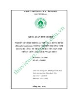 Nghiên cứu đặc điểm cấu trúc của rừng đước (rhizophora apiculata) trồng tại phân trường tam giang III, công ty TNHH MTV lâm nghiệp ngọc hiển 