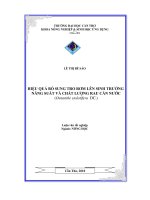 Hiệu quả sử dụng tro rơm lên sinh trưởng năng suất và chất lượng rau cần đước