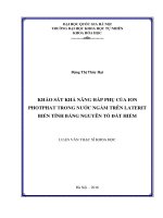 Khảo sát khả năng hấp phụ của ion photphat trong nước ngầm trên laterit biến tính bằng nguyên tố đất hiếm 