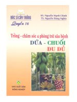 033 bac si cay trong quyen 16  trong cham soc va phong tru sau benh dua chuoi du du