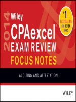 2014 WILEY CPA excel focus notes auditing 