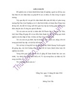 Đánh giá công tác thực hiện chương trình nông thôn mới tại xã phước cát 1, huyện cát tiên, tỉnh lâm đồng 