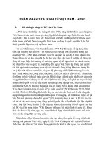 Tiểu luận Phân tích kinh tế APEC