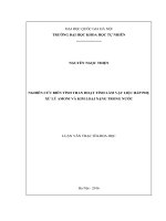 Nghiên cứu biến tính than hoạt tính làm vật liệu hấp phụ xử lý amoni và kim loại nặng trong nước 