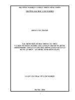 Xác định một số đặc điểm cấu trúc và một số nhân tố điều tra cơ bản cho rừng đước (rhizophora apiculata blume) trồng ở ban quản lý rừng an biên  an minh, tỉnh kiên giang 