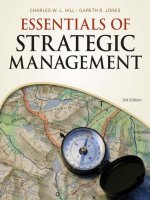 Essentials of strategic management 3rd edition jones