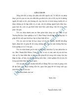 Ứng dụng phần mềm microstation và famis thành lập bản đồ địa chính tại xã an phú tp  pleiku tỉnh gia lai 