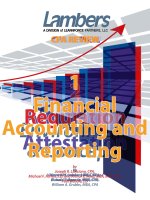 Lambers CPA review business envoirnment and concepts