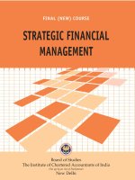 Strategic financial management