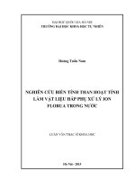 Nghiên cứu biến tính than hoạt tính làm vật liệu hấp phụ xử lý ion florua trong nước 