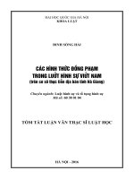 các hình thức đồng phạm trong luật hình sự VN 