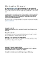 Bệnh thoái hóa đốt sống cổ và cách hỗ trợ điều trị