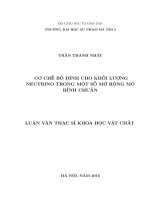 Cơ chế bổ đính cho khối lượng Neutrino trong một số mở rộng mô hình chuẩn