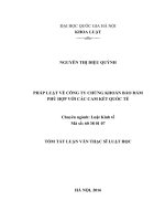 pháp luật về công ty chứng khoán bảo đảm phù hợp với các cam kết quốc tế 