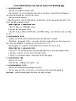 tính chất hóa học cơ bản của các axit vô cơ