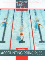 Accounting principles 9e by kieso