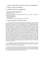 Đề tài báo cáo phân tích hoạt động kinh doanh Công ty TNHH Phú Quý