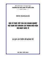 Đầu tư trực tiếp của các doanh nghiệp Việt Nam vào Cộng Hòa Dân Chủ Nhân Dân Lào trong điều kiện hội nhập quốc
