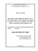 DỰ BÁO TUỔI THỌ SỬ DỤNG CỦA CẦU BÊ TÔNG CỐT THÉP VEN BIỂN VIỆT NAM DO XÂM NHẬP CLO