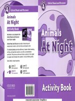 Animals at night   activity book 